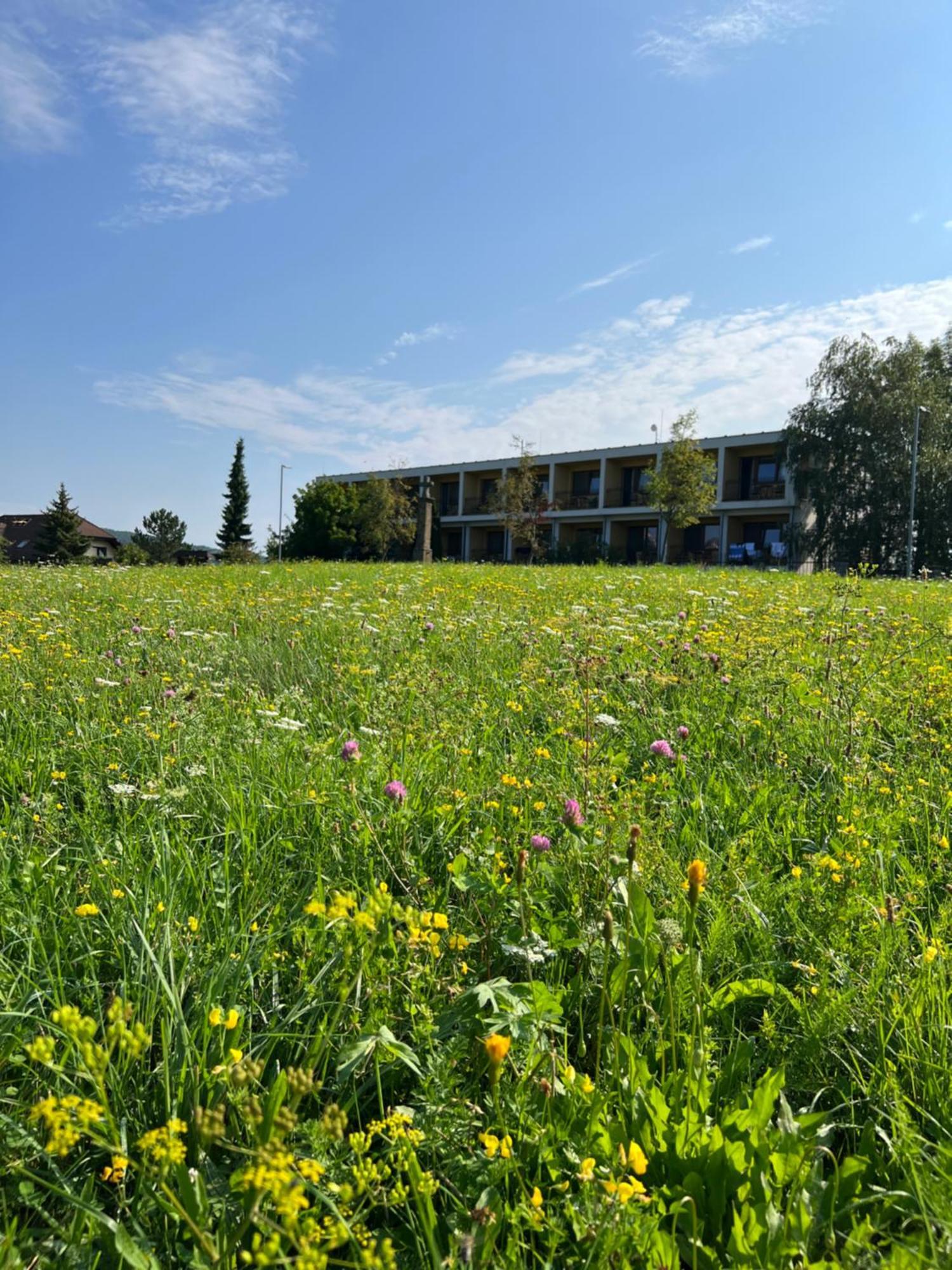 Lazensky A Wellness Hotel Nivamare Luhačovice Buitenkant foto